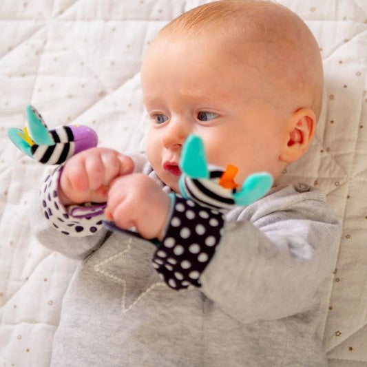 Hochets BEBE couleurs curieux