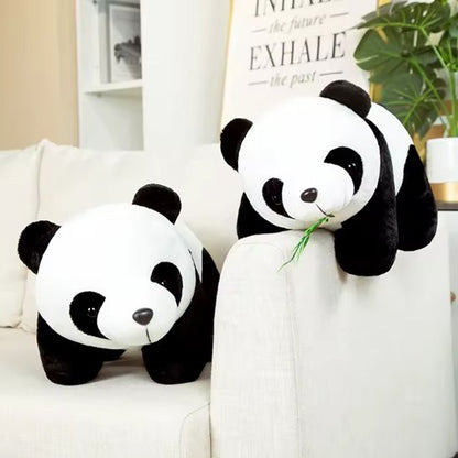 Peluche panda peluche pour bebe 2 oursons 