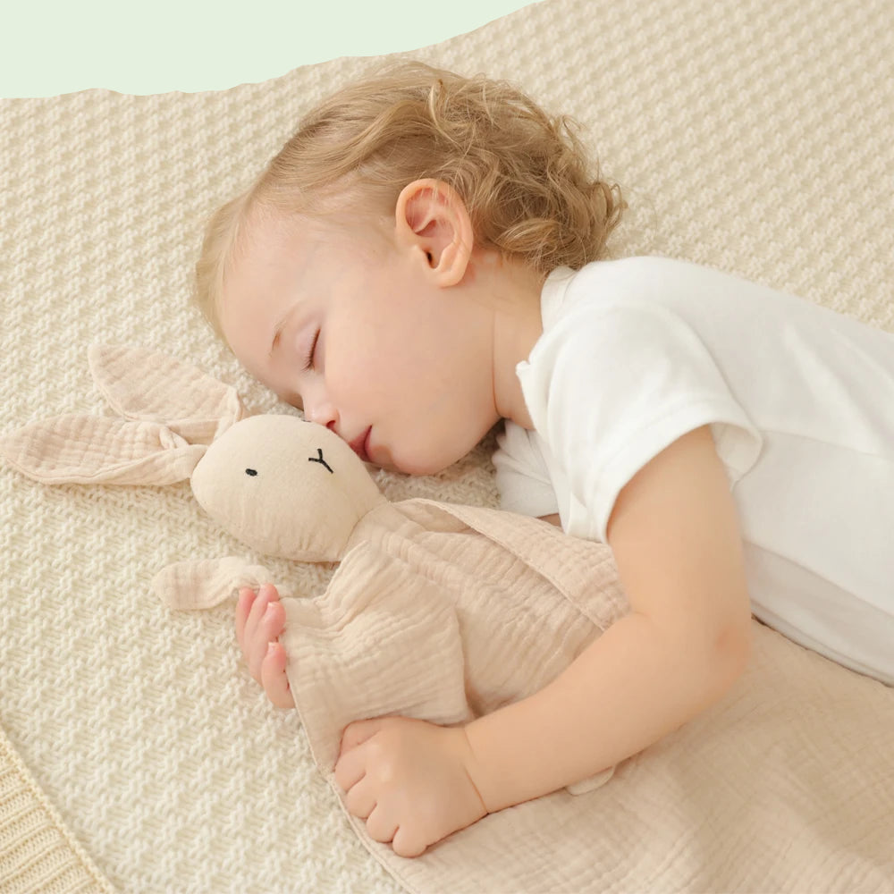 doudou bebe avec son compagnon