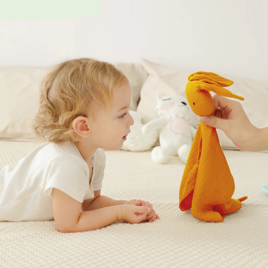 doudou bebe avec son compagnon style éveil